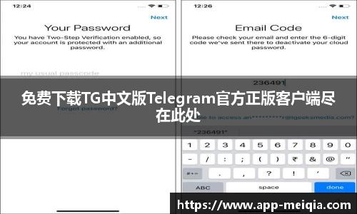 免费下载TG中文版Telegram官方正版客户端尽在此处